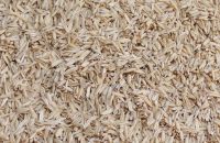 Đồng Tháp : Vỏ trấu tăng giá